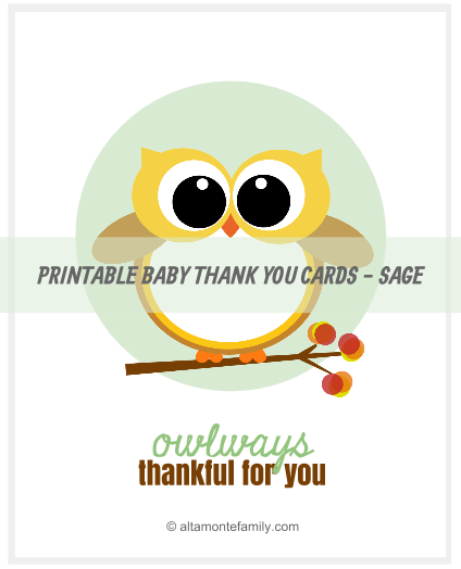 free-printable-baby-owl-thank-you-cards-altamonte-family