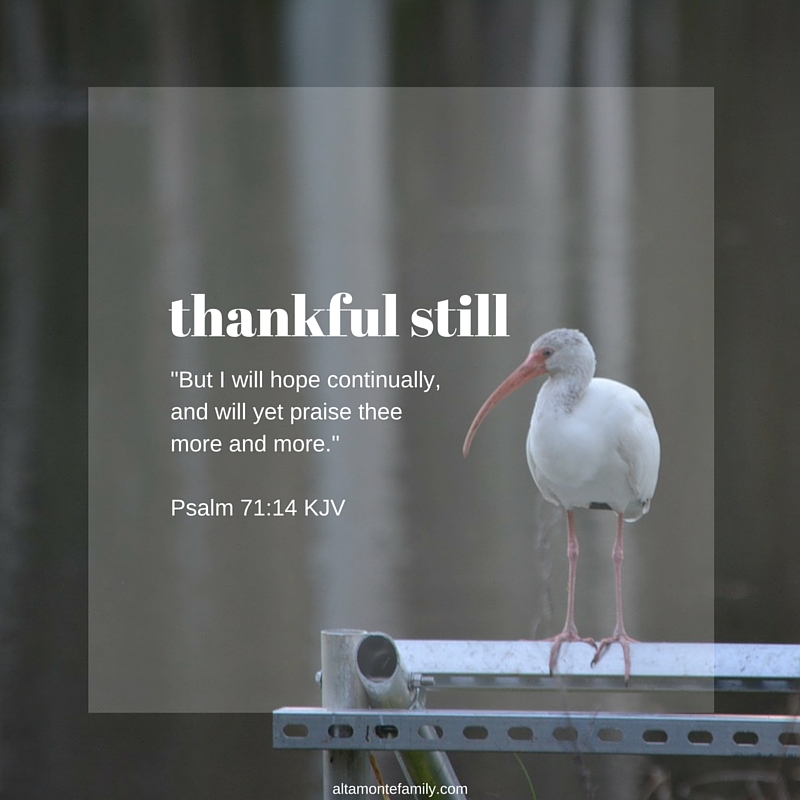 Thankful Still
