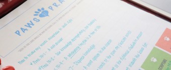 Acceptable Words In God’s Sight