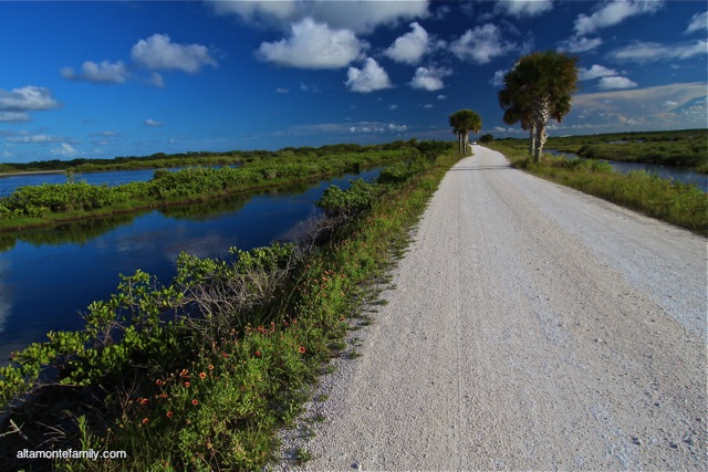 Black Point Wildlife Drive_Canon 10-22MM BW Kaesemann Circular Polarizer_2