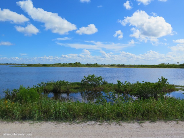 Black Point Wildlife Drive_Canon PowerShot G16_7