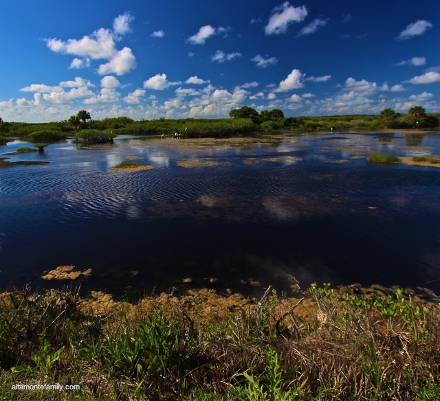 Black Point Wildlife Drive_Canon Rebel 10-22MM BW Kaesemann Circular Polarizer_1