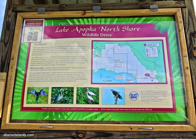 Lake Apopka North Shore Wildlife Drive_Canon PowerShot G16_4