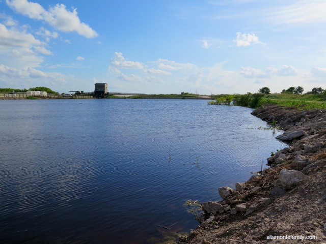 Lake Apopka North Shore Wildlife Drive_Canon PowerShot G16_5