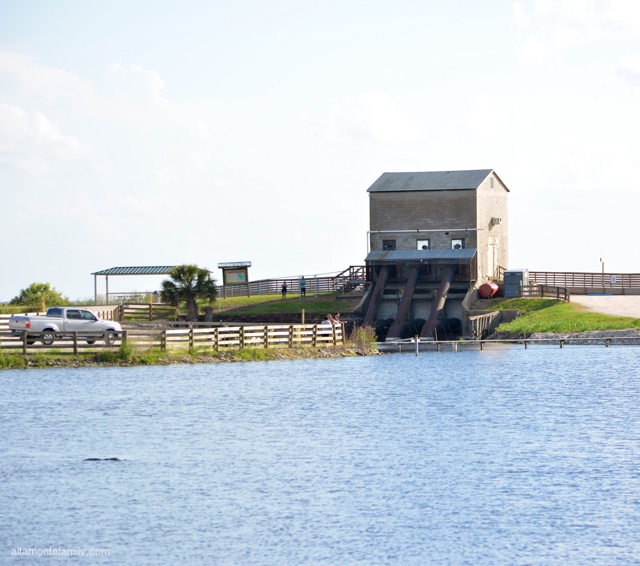 Lake Apopka North Shore Wildlife Drive_Nikon_1