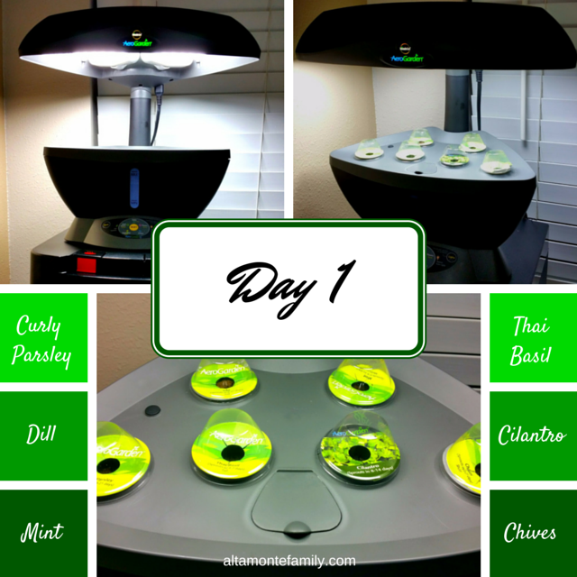 indoor gardening with aerogarden 6 by miracle gro