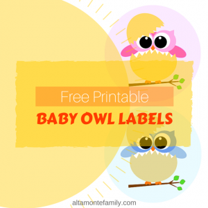 free printable baby owl labels