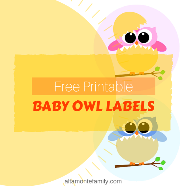 free printable baby owl labels