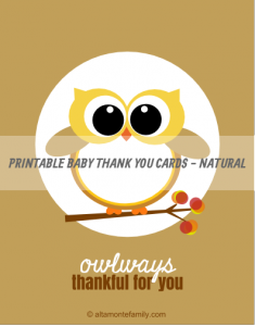 Free Printable Baby Owl Thank You Cards | Altamonte Family