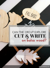 cricut balsa