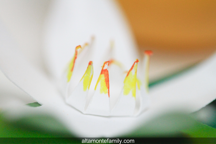 Orange Blossom Paper Garland Tutorial