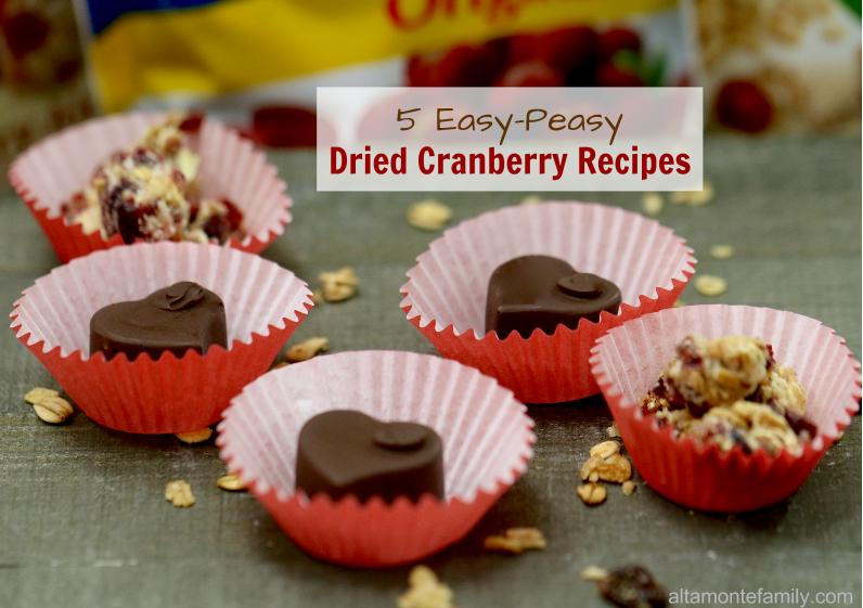 5 Easy Peasy Dried Cranberry Recipes