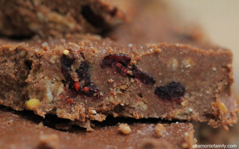 No Bake Chocolate Coconut Granola Protein Bars