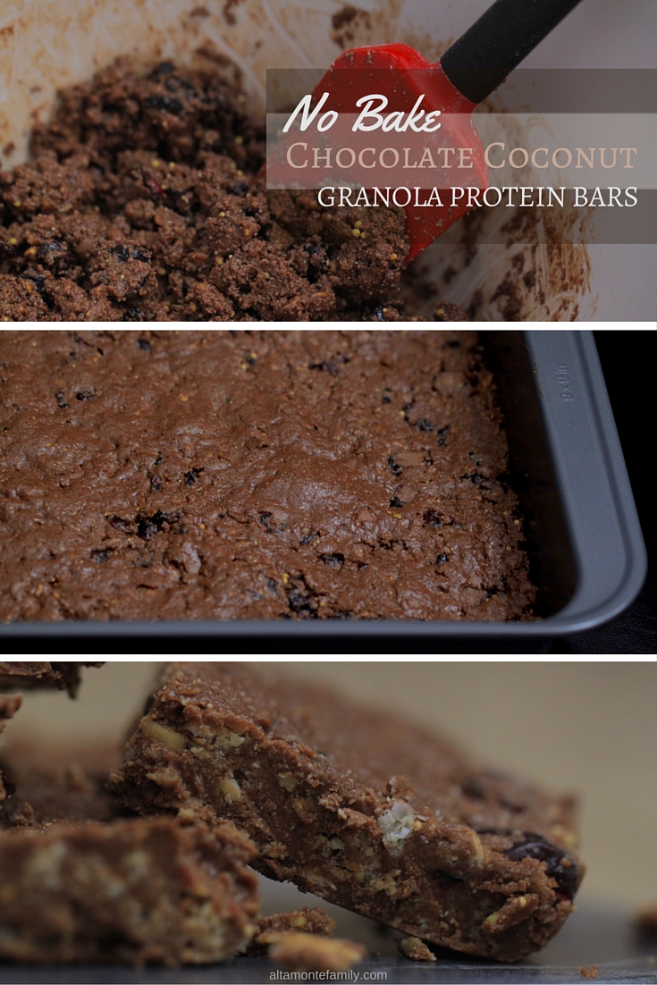 No Bake Chocolate Coconut Granola Protein Bars