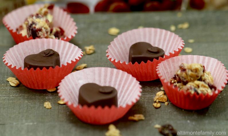 Chocolate Covered Cranberry Hearts