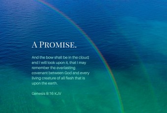 The rainbow as a token of God's covenant