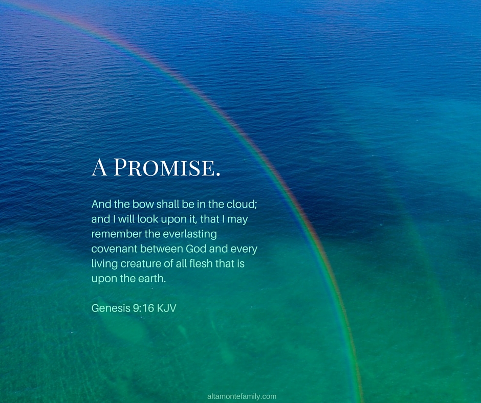 The rainbow as a token of God's covenant