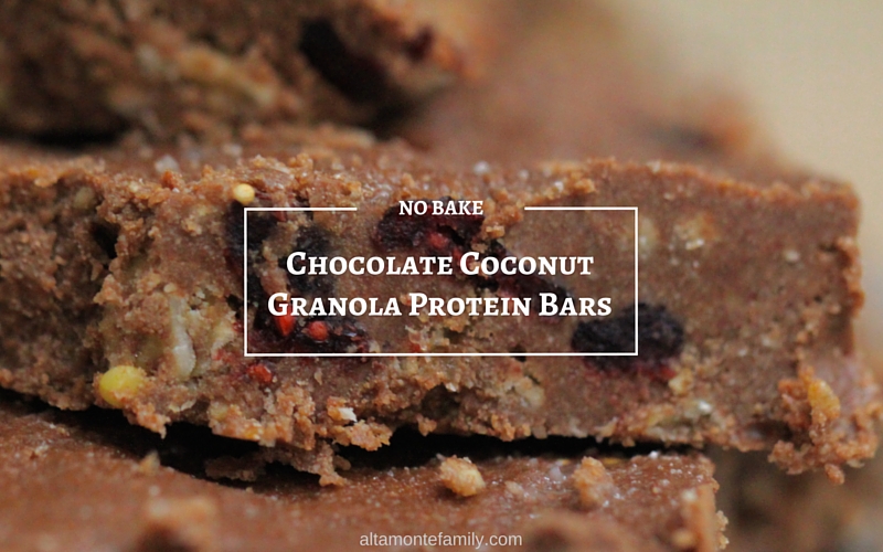 No Bake Chocolate Coconut Granola Protein Bars