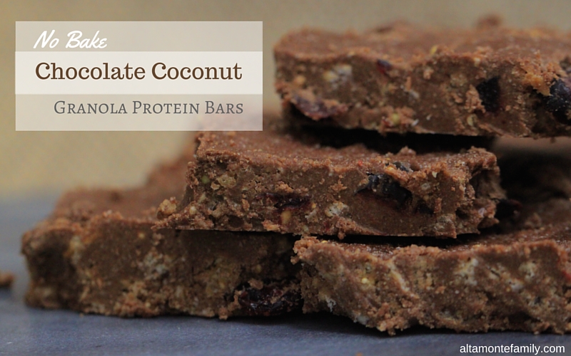 No Bake Chocolate Coconut Granola Protein Bars