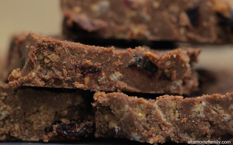 No Bake Chocolate Coconut Granola Protein Bars