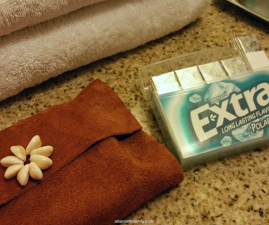 DIY Toiletry Bag Gift Idea