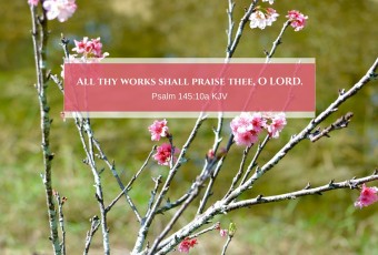 Psalm 145:10a KJV