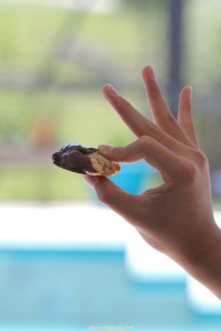 Breakfast Cereal Cookie Recipe Chocolate-Dipped Honey Almond Cornflake Cookies