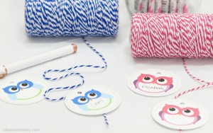 Free Printable Owl Gift Tags and Labels - Pink and Blue