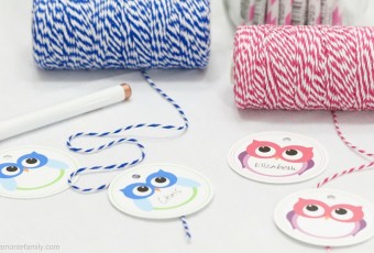 Free Printable Owl Gift Tags and Labels - Pink and Blue