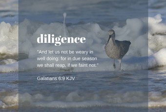 Galatians 6:9 KJV - Devotion on Diligence