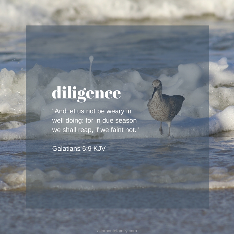 Galatians 6:9 KJV - Devotion on Diligence