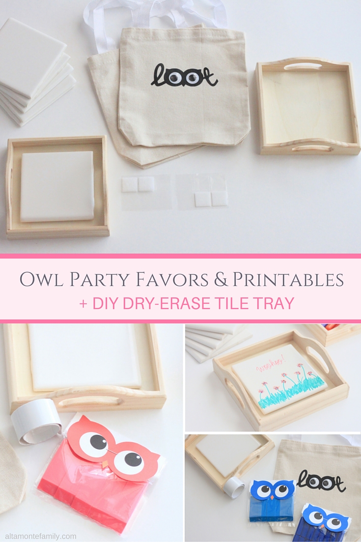 Owl Party Favor Ideas and Printables and DIY Dry Erase Tile Tray