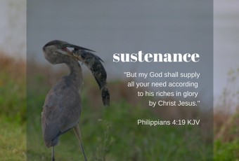 Philippians 4:19 KJV - Devotion on God's Provision