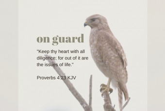 Proverbs 4:23 KJV - Devotion on How To Guard Your Heart