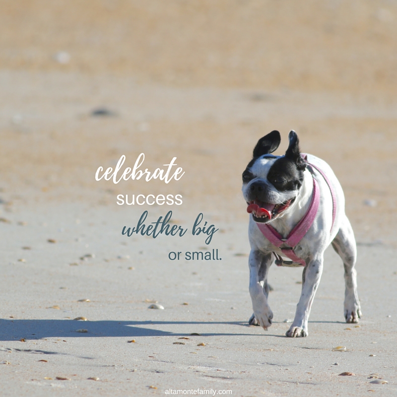 Celebrate Success Whether Big Or Small