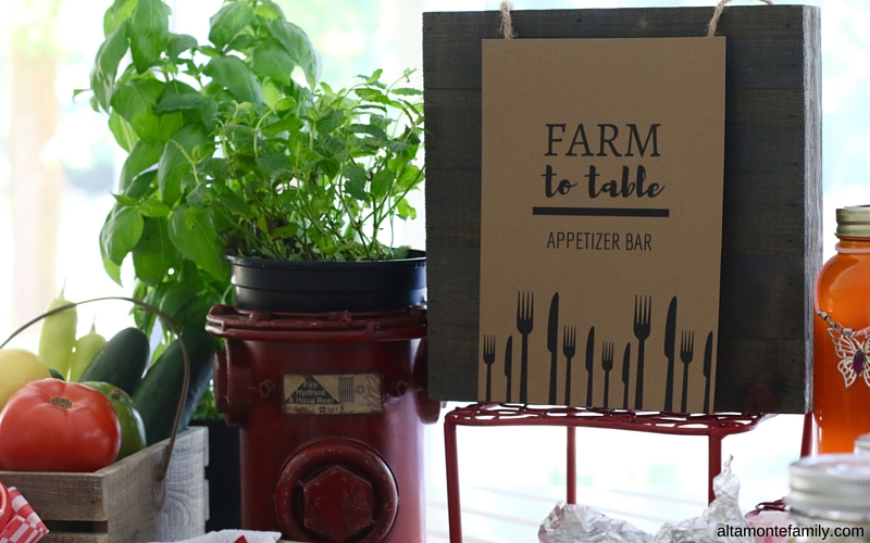 Farm To Table Party Theme and "Fresh From Florida"