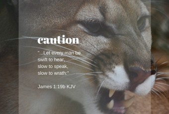 James 1:19 KJV - Christian Devotion