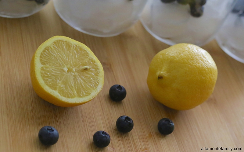 Lemon Blueberry Mint Infused Water