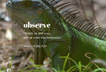 Mark 14:38 KJV - Christian Devotion