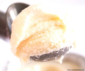 No-Churn Vanilla Hazelnut Ice Cream - Hungry Friday Feature - Altamonte Family