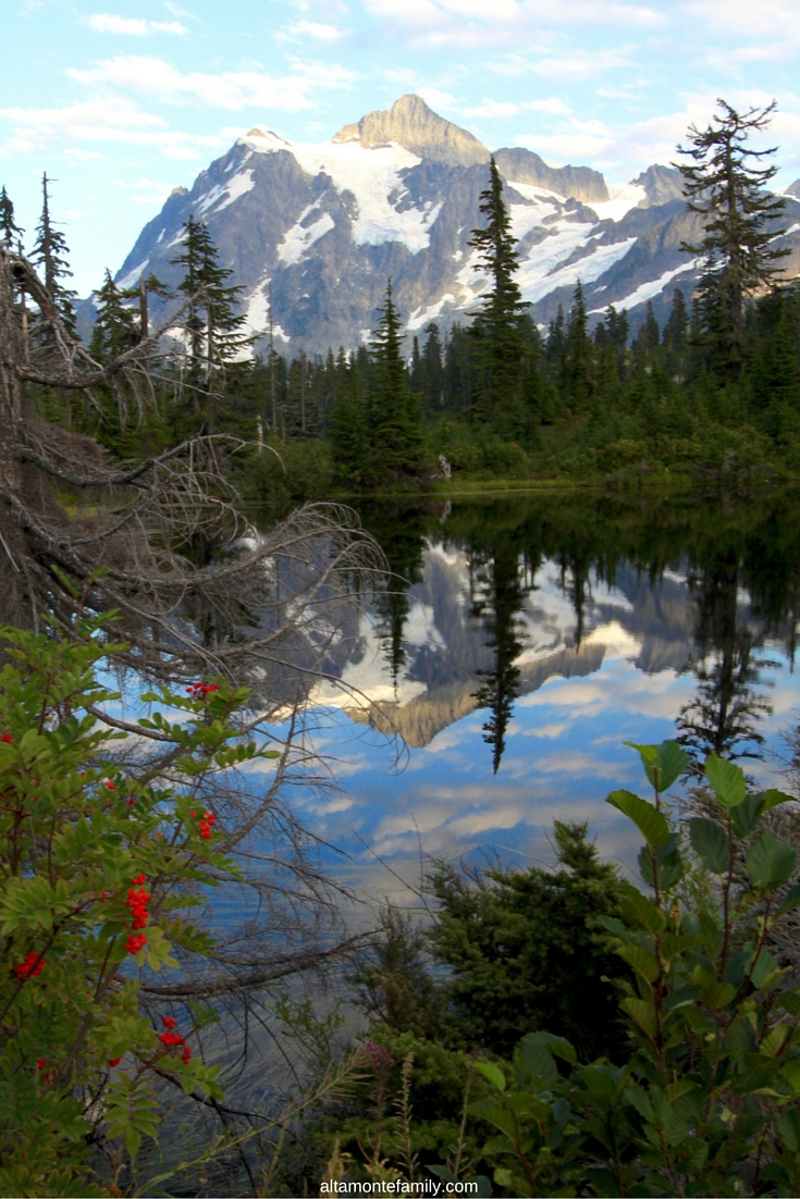 Top Summer Destinations for Families - Mount Rainier National Park - Road Trip Ideas