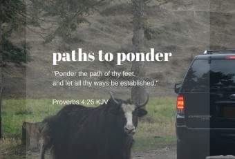 Proverbs 4:26 KJV - Christian Devotion