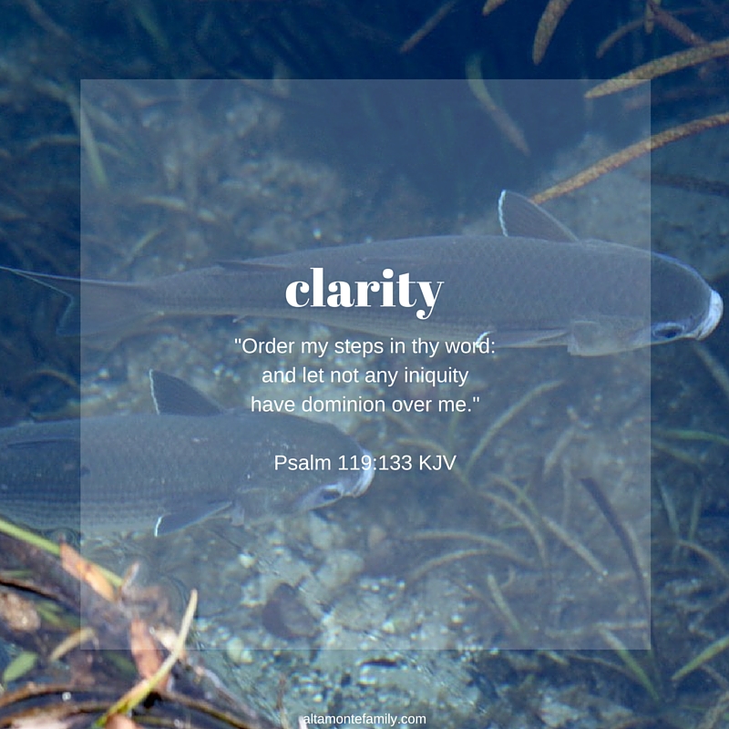 Seeking Clarity
