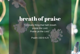 Psalm 150:6 KJV - Christian Devotion
