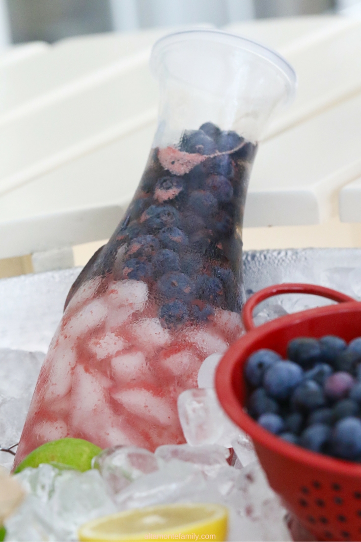 Watermelon Blueberry Fruit Infusion