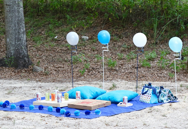 Birthday Picnic On The Road Ideas