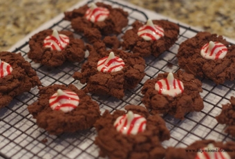 Chocolate Candy Cane Cookies by Injenious Life for #CookieSwappinGood 2016