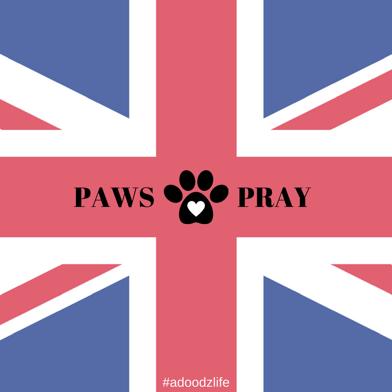 Paws And Pray - #PrayForManchester