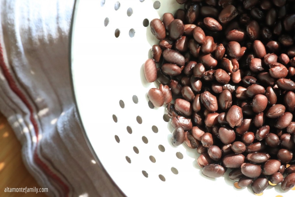 Vegetarian Black Bean And Cheese Casserole Slow Cooker Recipe