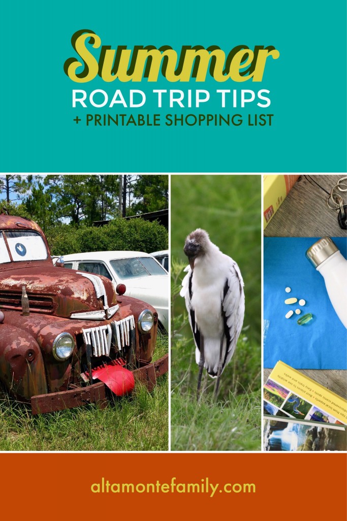 Summer Road Trip Tips and Essentials - Printable Shopping List